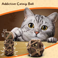 Addictive Catnip Ball