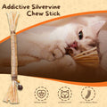 Addictive Silvervine Chew Stick