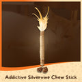 Addictive Silvervine Chew Stick